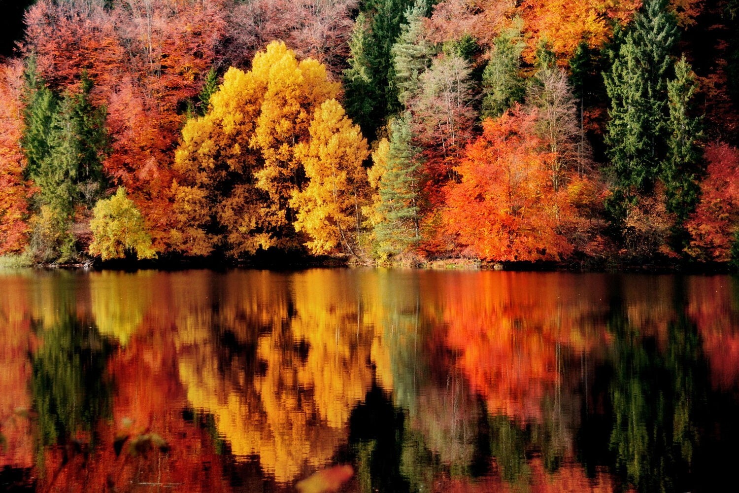 Landscape photography nature fall reflection lake forest Custom Gaming Mat Desk