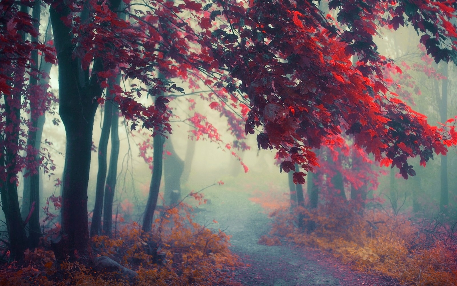 Landscape nature path mist trees fall shrubs forest Custom Gaming Mat Desk
