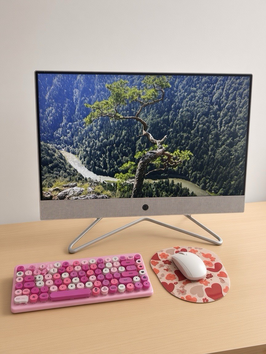 HP 22 All-in-One PC, Intel Pentium Silver J5040