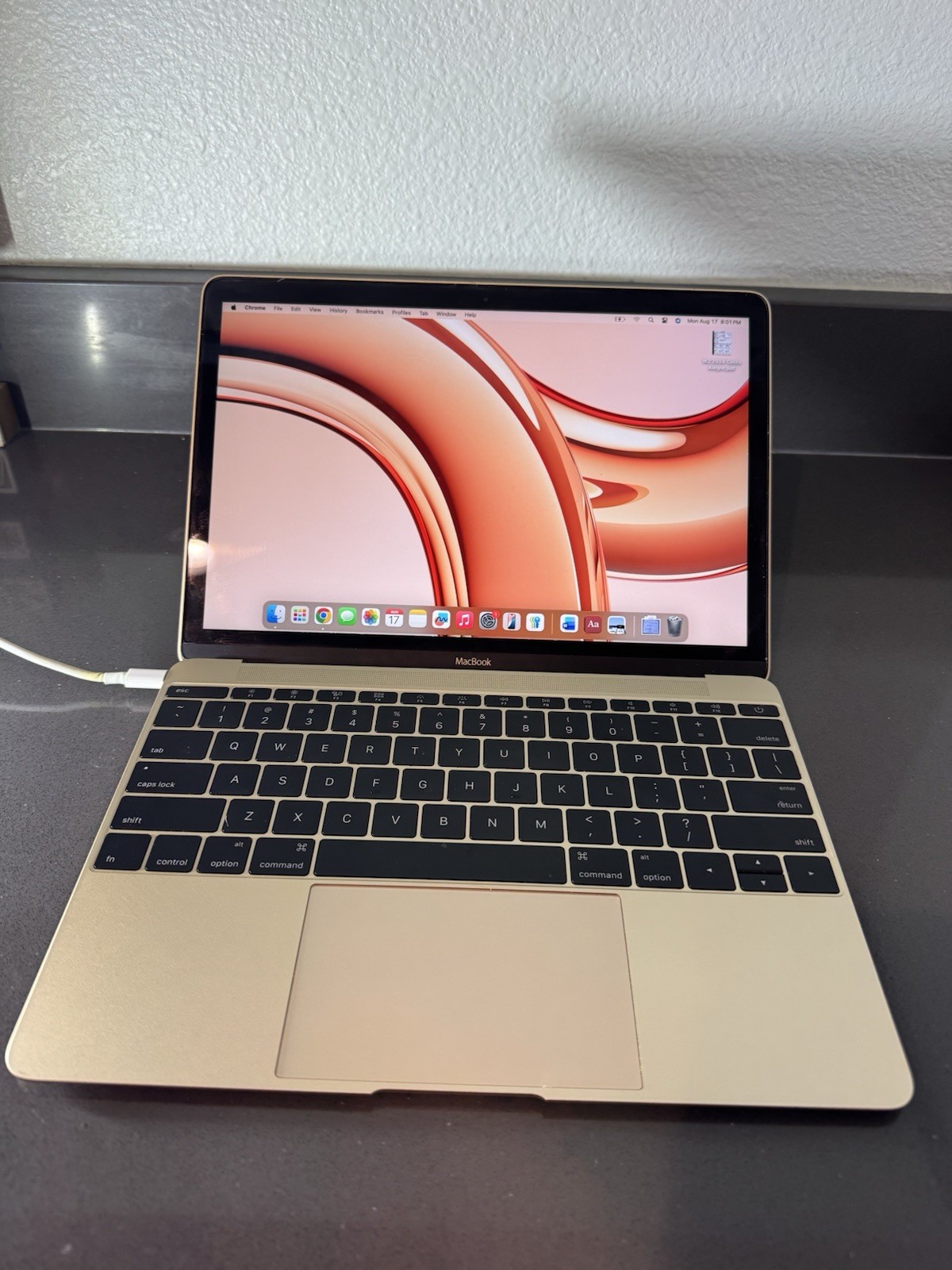 Apple MacBook Core M 1.2 12-inch Early 2015 A1534 8GB RAM 256GB SSD Very Good