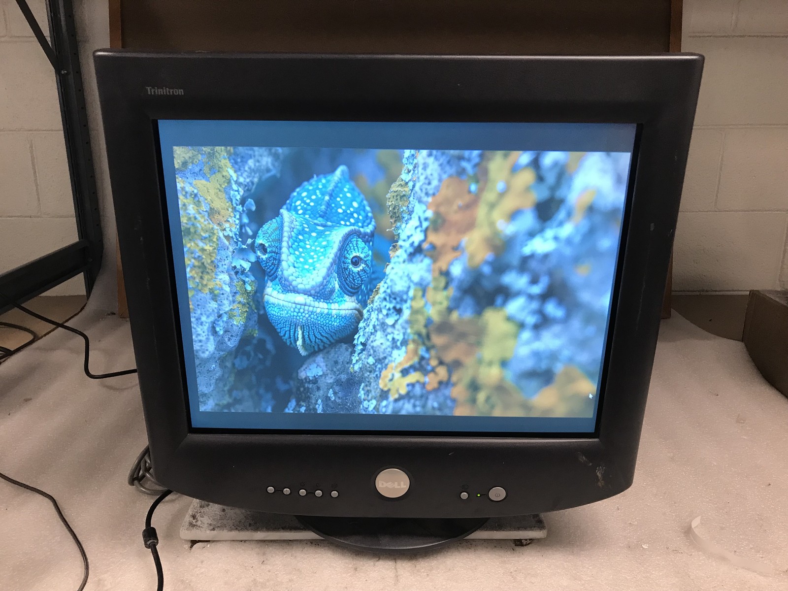 Dell P1130 Trinitron 21" VGA Monitor 1280x1024 - Read Description Local Pickup