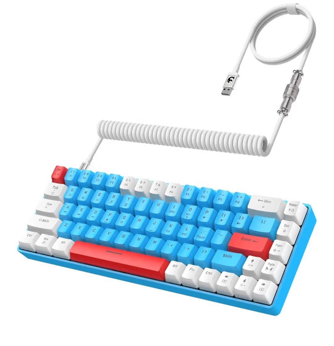 ZIYOU LANG RK-T8 Wired Mechanical Gaming Keyboard RGB LED Backlit Blue Switch
