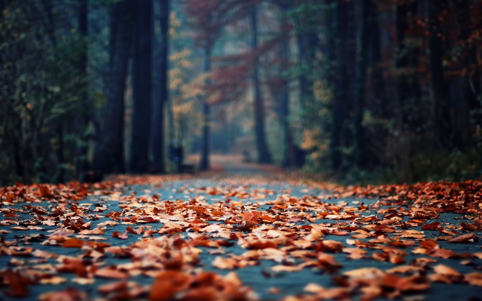 Landscape leaves trees fall road outdoors Custom Gaming Mat Desk