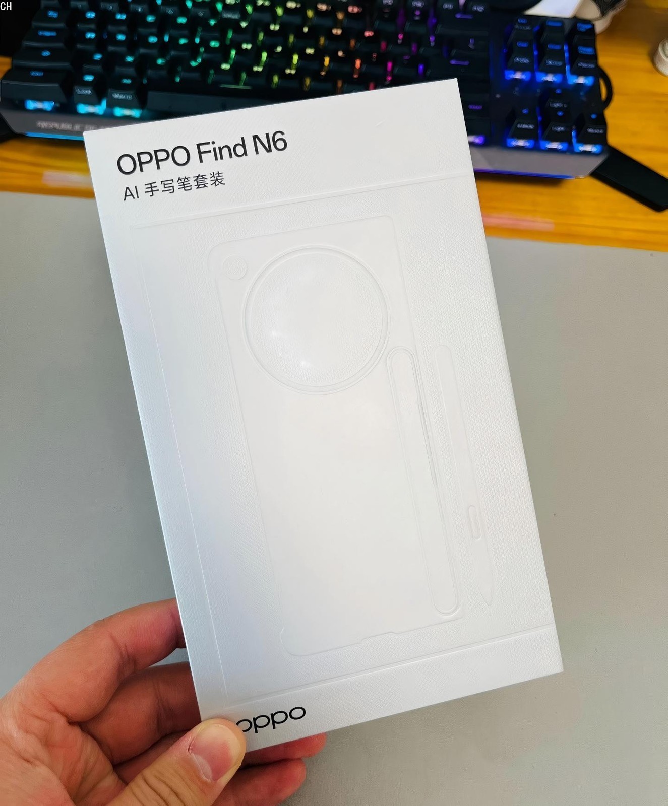 Original OPPO Find N6 AI Stylus Pen Set with Phone Case