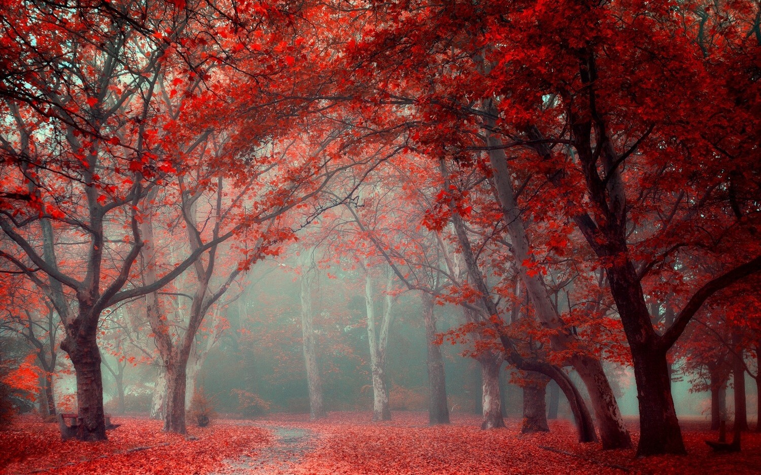 Landscape park leaves fall trees mist red path Custom Gaming Mat Desk