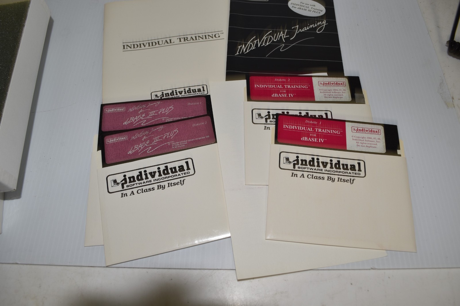 INDIVIDUAL TRAINING FOR DBASE III & IV - VINTAGE FLOPPY SOFTWARE.  (WSA75)