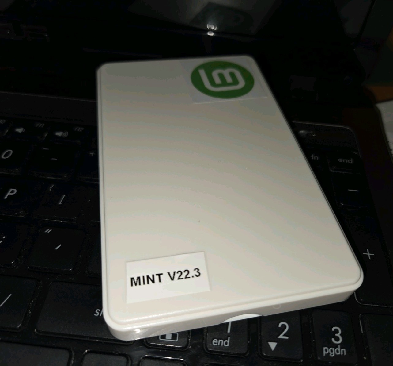 Linux Mint Cinnamon V22.3, White 64-bit Bootable 128GB USB SSD with Persistence