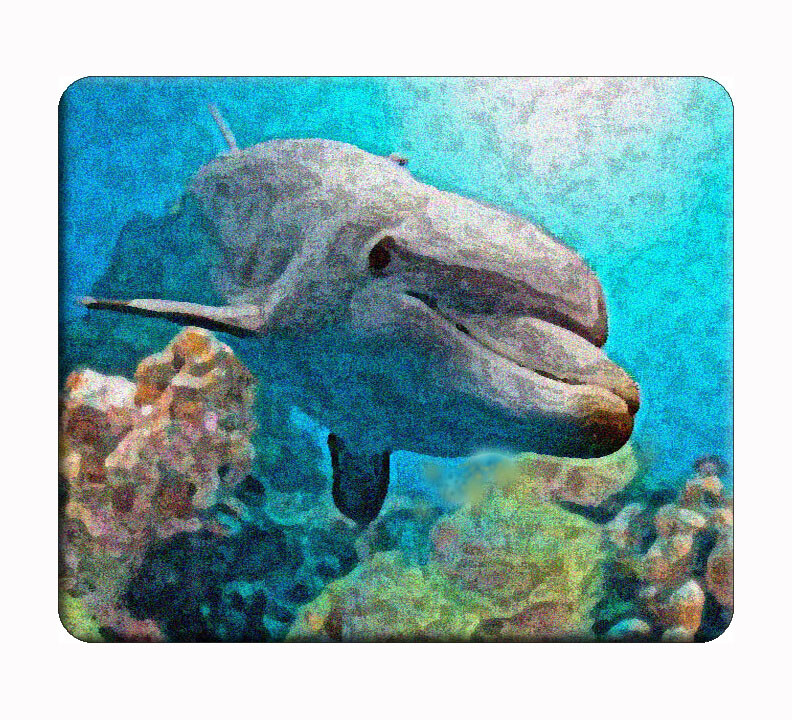 Custom Dolphin sea computer, laptop,iPad,  mouse pad