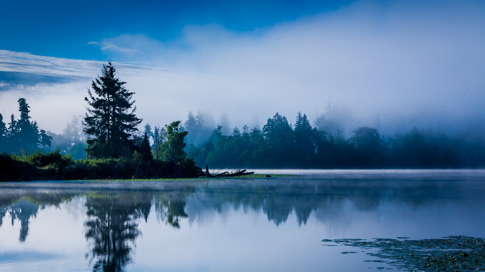 Landscape lake morning mist blue forest water reflection Custom Gaming Mat Desk