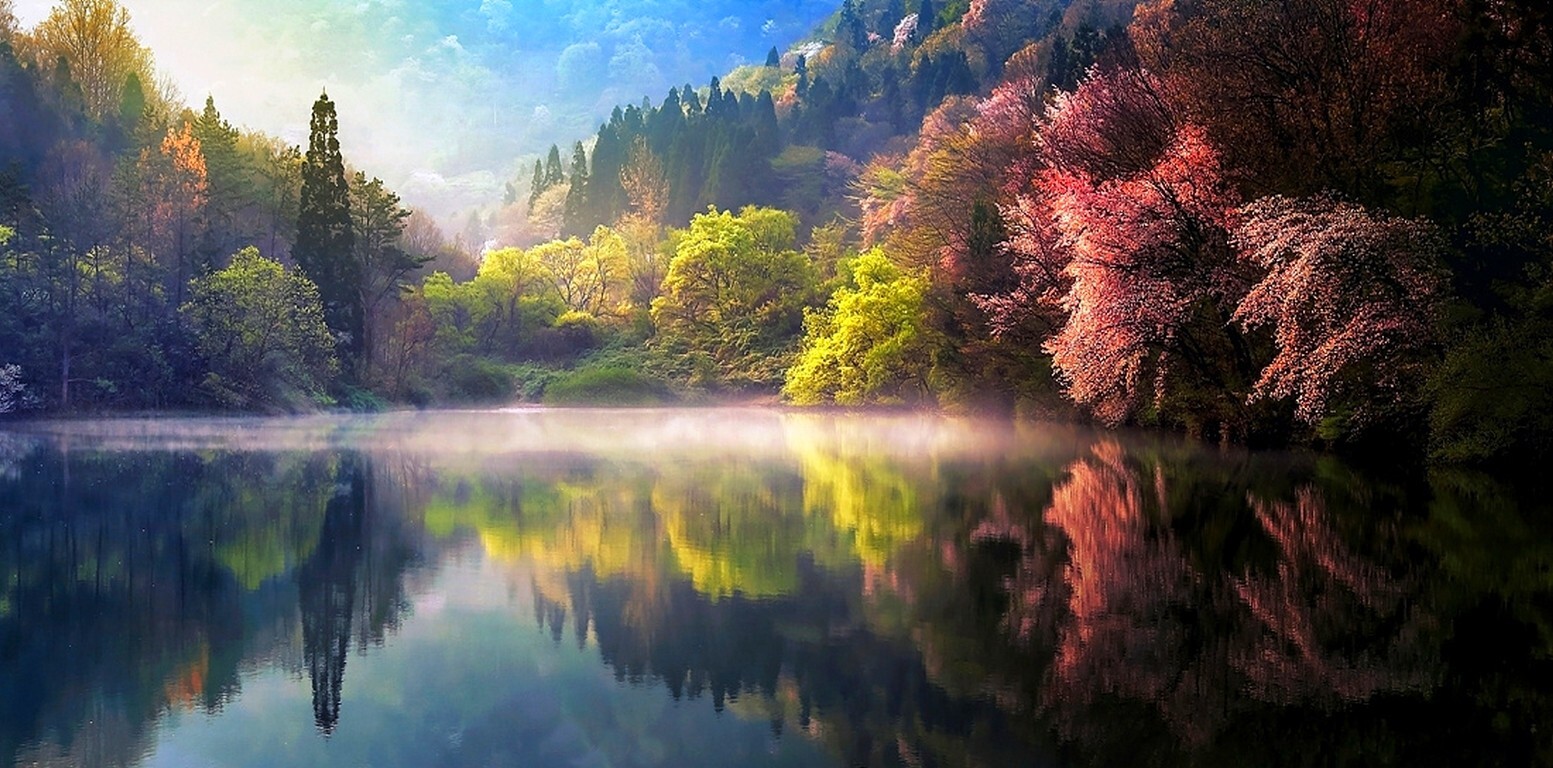Landscape nature spring mist lake trees reflection Custom Gaming Mat Desk