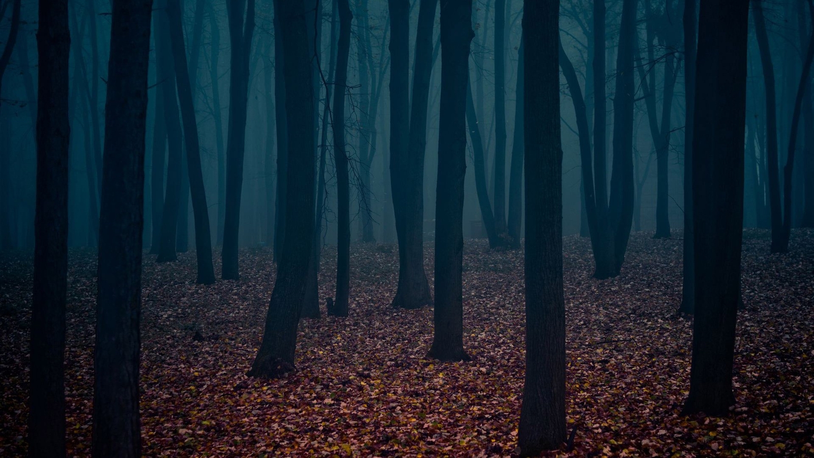 Landscape forest dark trees Custom Gaming Mat Desk