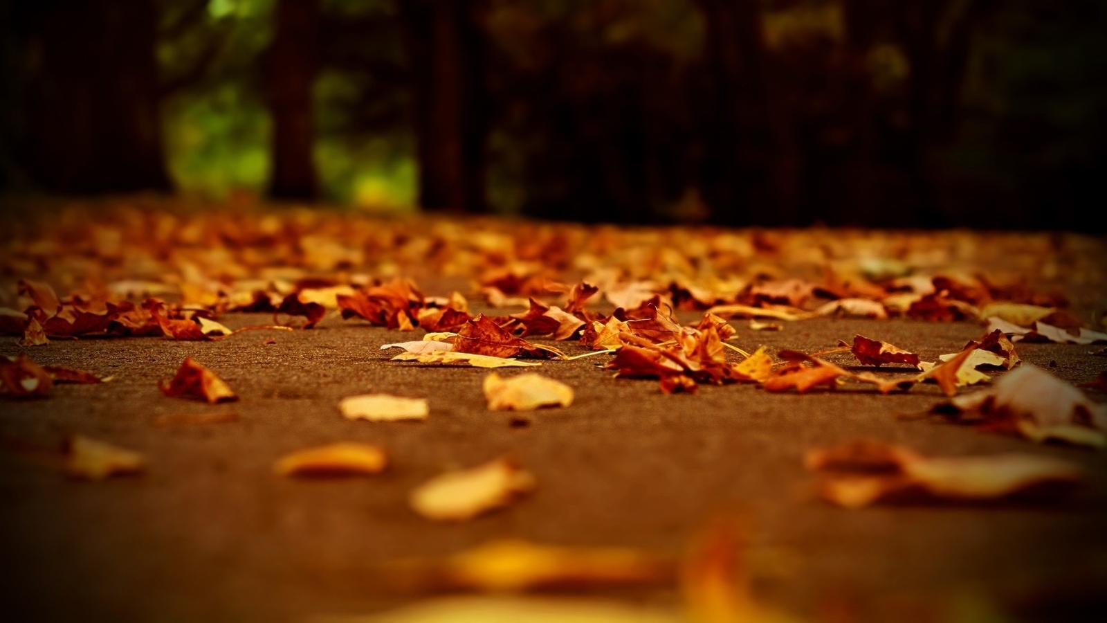 Landscape depth of field leaves Custom Gaming Mat Desk