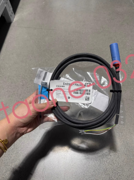 1PCS NEW E+H CYK10-G031 Electrode cable Fast delivery Via Fedex/DHL