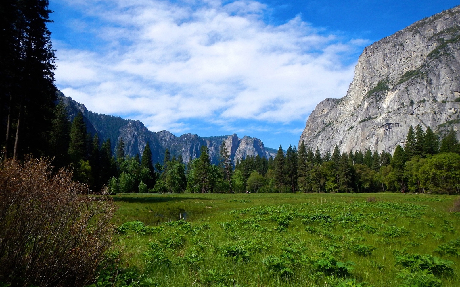 Landscape nature yosemite national park valley cliff Custom Gaming Mat Desk
