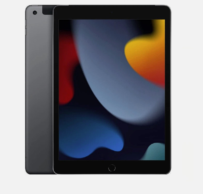 Apple iPad 9th Gen 10.2" - Wi-Fi + Cellular - Gray  64GB  - Great Condition
