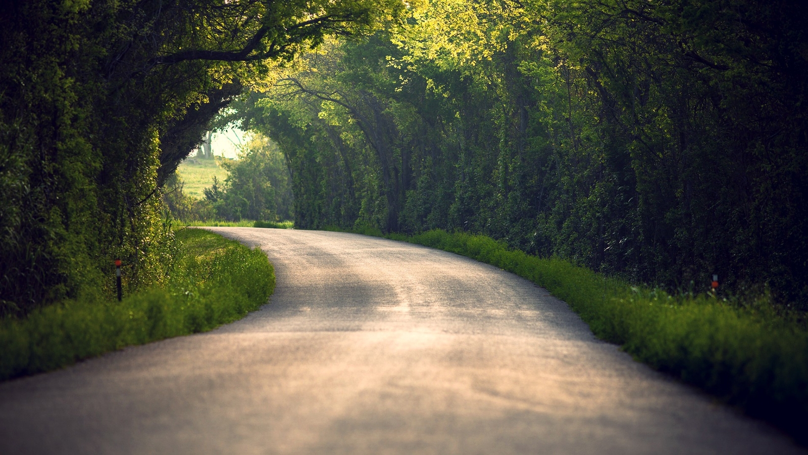 Landscape trees road path nature blurred tunnel Custom Gaming Mat Desk