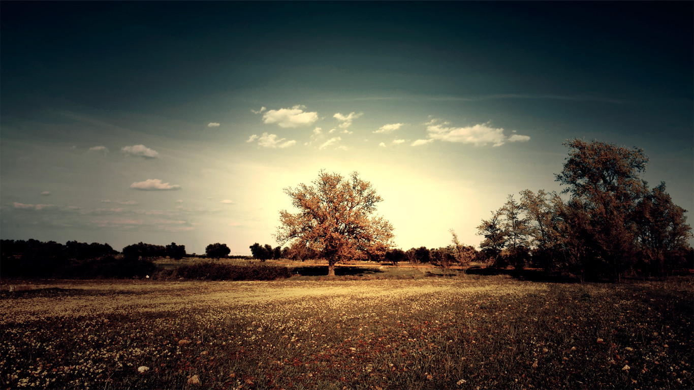 Landscape nature field trees sky Custom Gaming Mat Desk