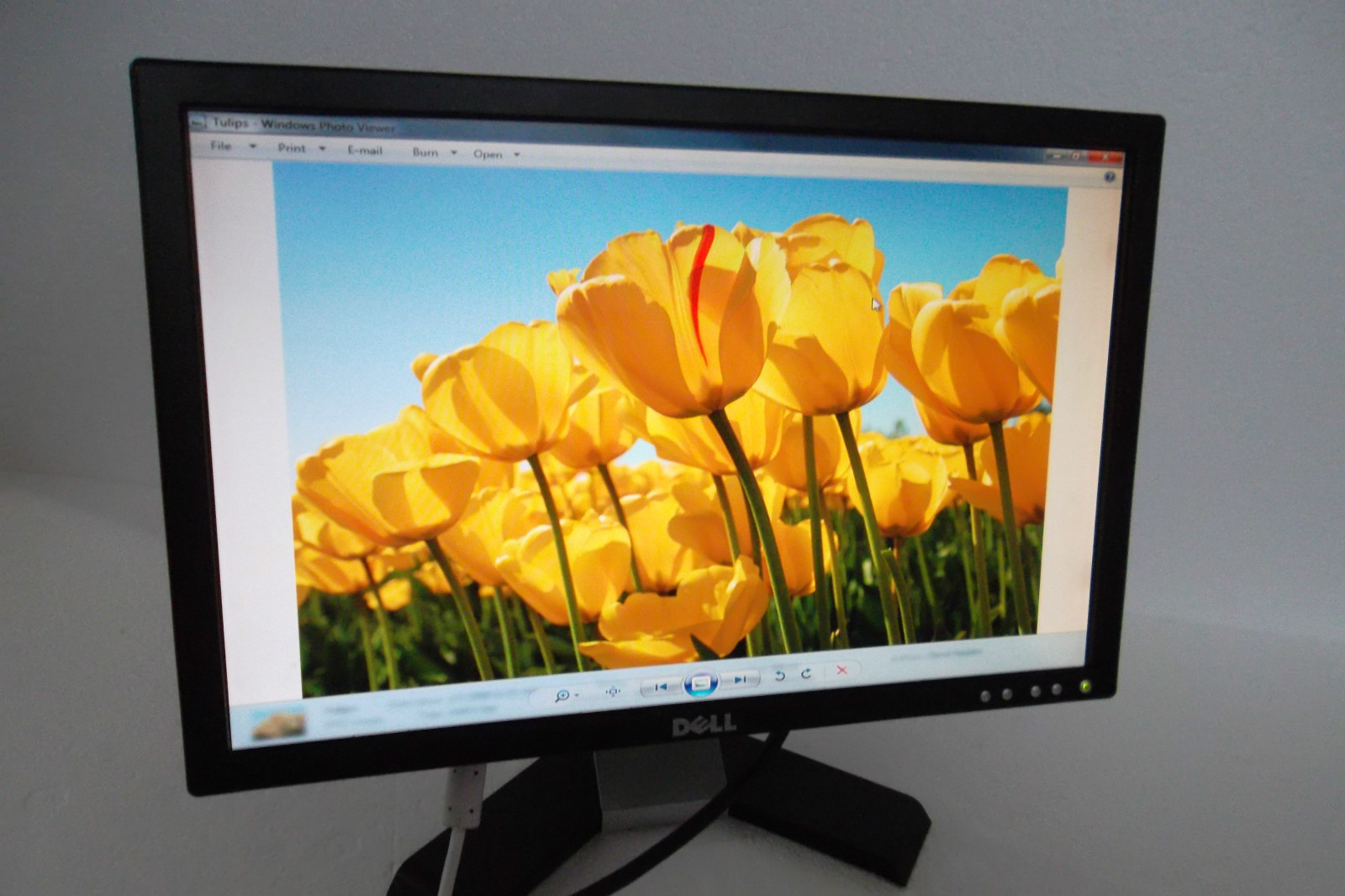 Dell E198WFP 19" Widescreen LCD Monitor VGA DVI RW195 MM226 E198WFPf E198WFPv