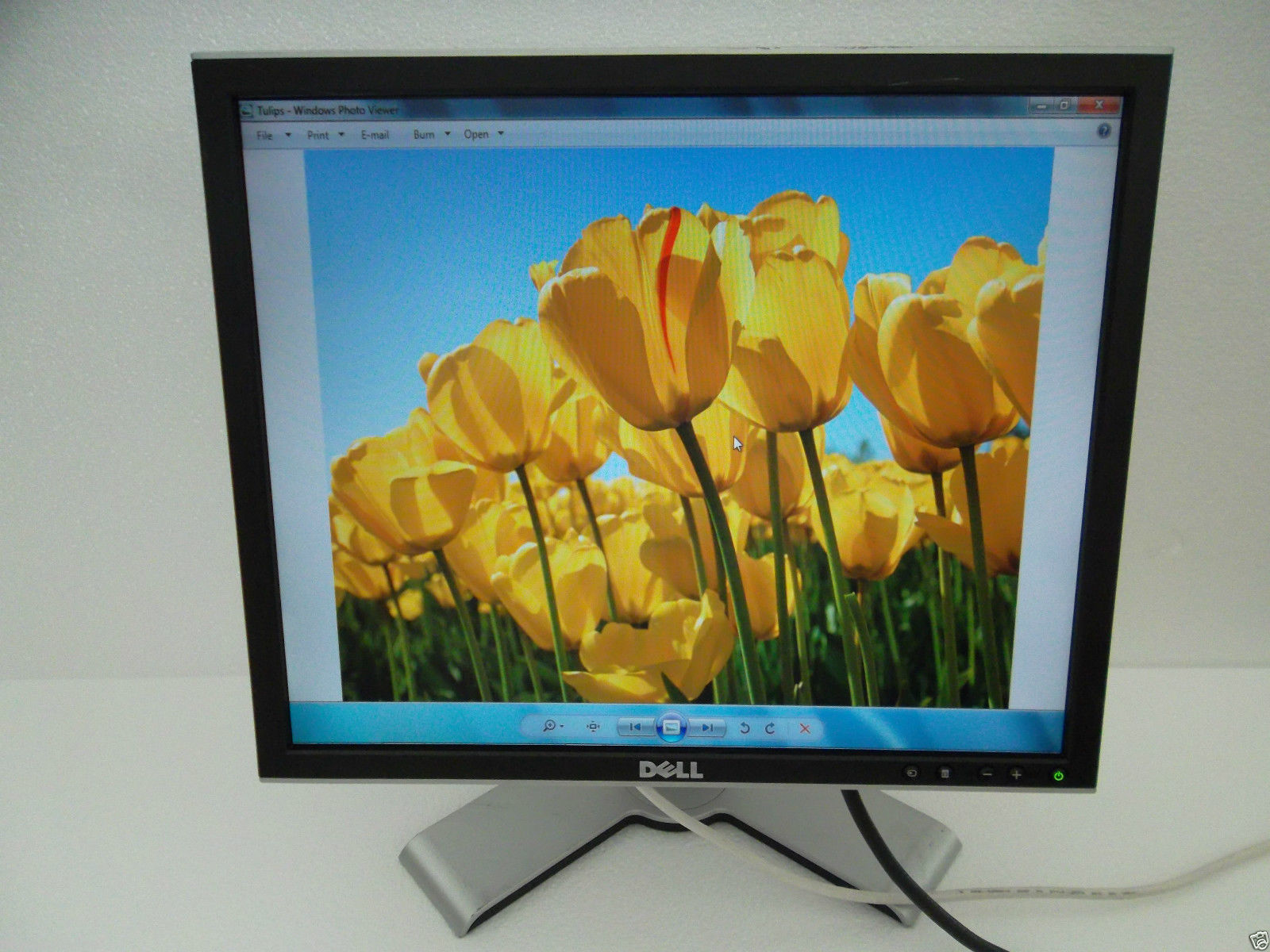 Dell 1907FP 1908FP UltraSharp 19" LCD Monitor 4-Port USB Hub VGA DVI DC323 CJ319