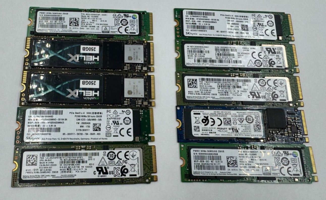 [LOT of 10] NVMe 240-256GB SSD Mixed Brands TESTED