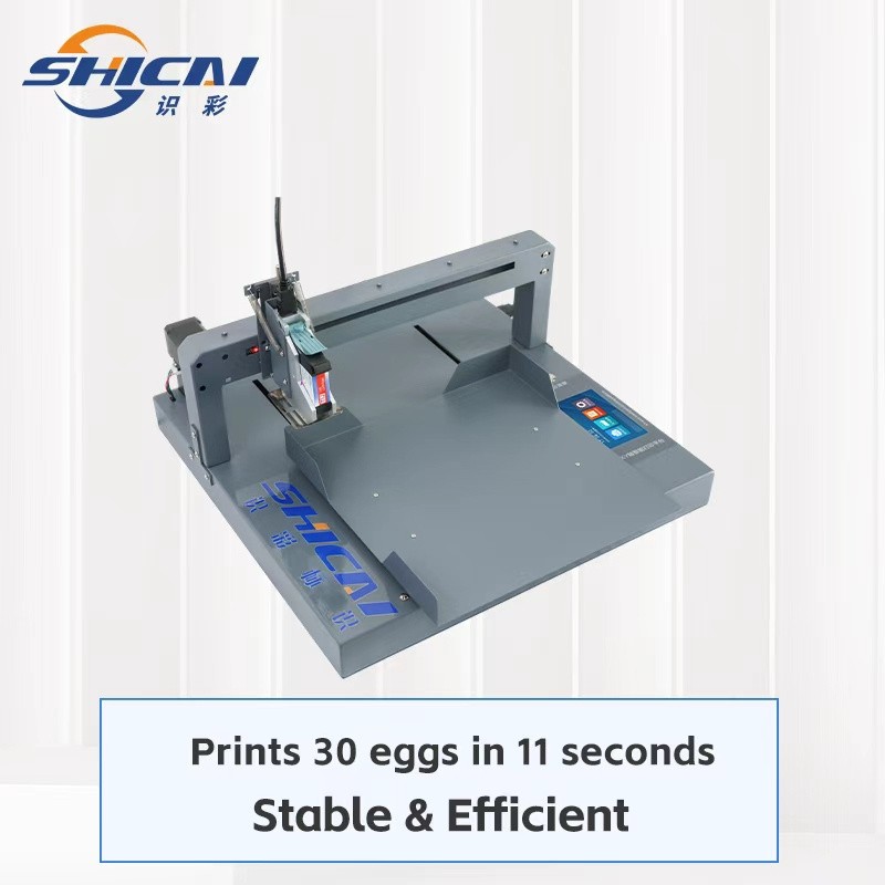 Automatic Tray Egg Inkjet Printer for Printing Date and Batch on Poultry Eggs