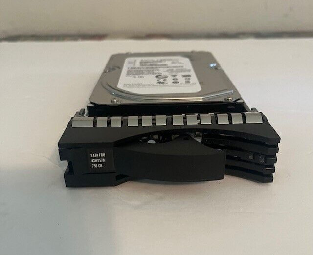 IBM 750 GB,Plug-In Module,7200 RPM (43W7579) Hard Drive NEVER USED