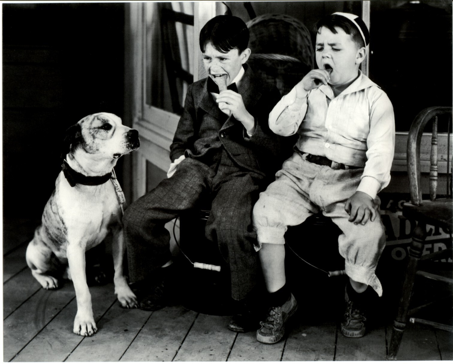 Pete The Dog  Our Gang Little Rascals  8 x 10 Inch Vintage Photo