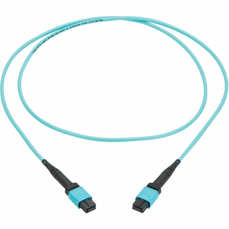 Eaton Tripp Lite Series 100G Multimode 50/125 OM4 Fiber Optic Cable 12F