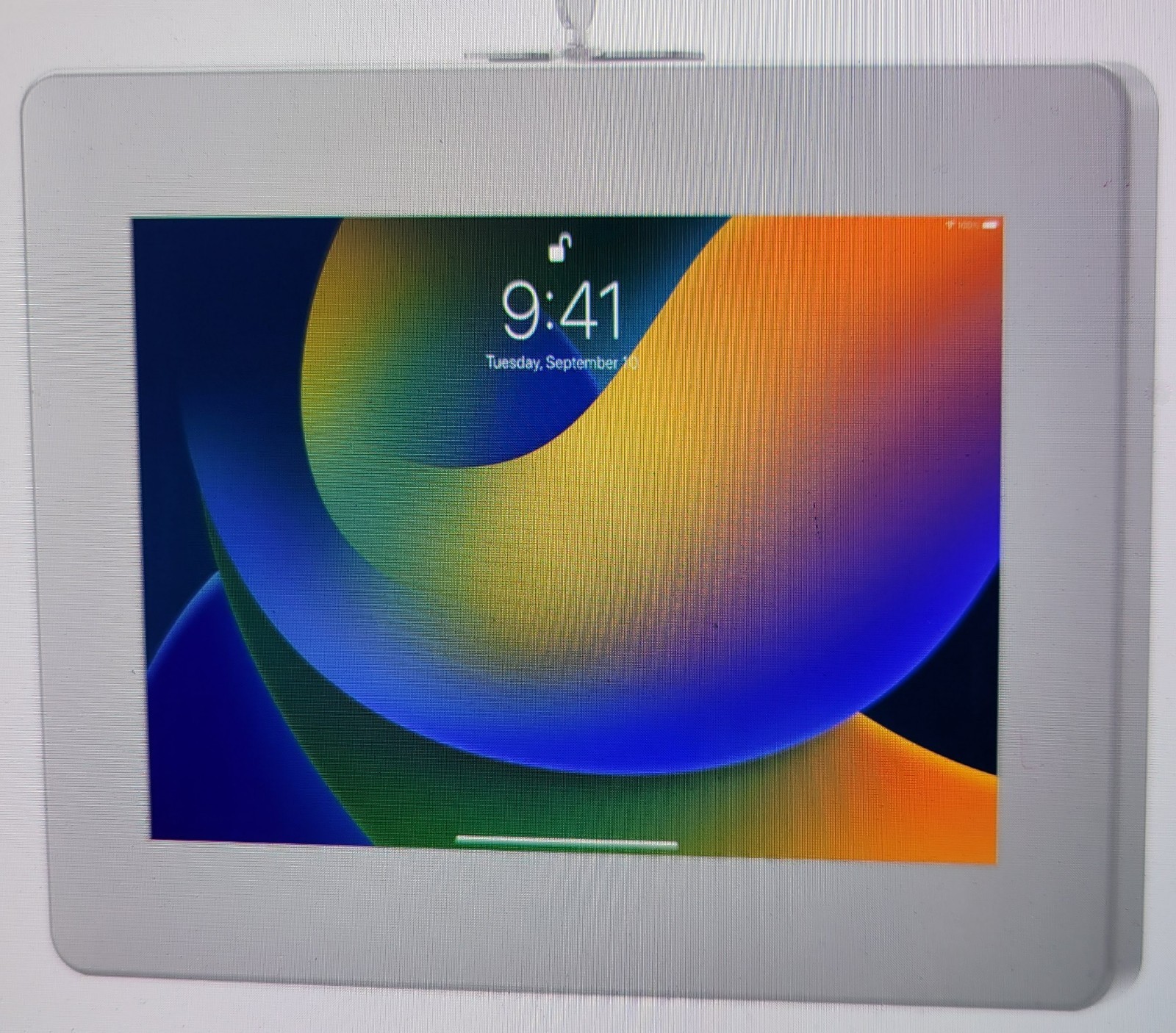 CTA Digital Anti-Theft iPad Wall Mount Silver Model PAD-PARAW