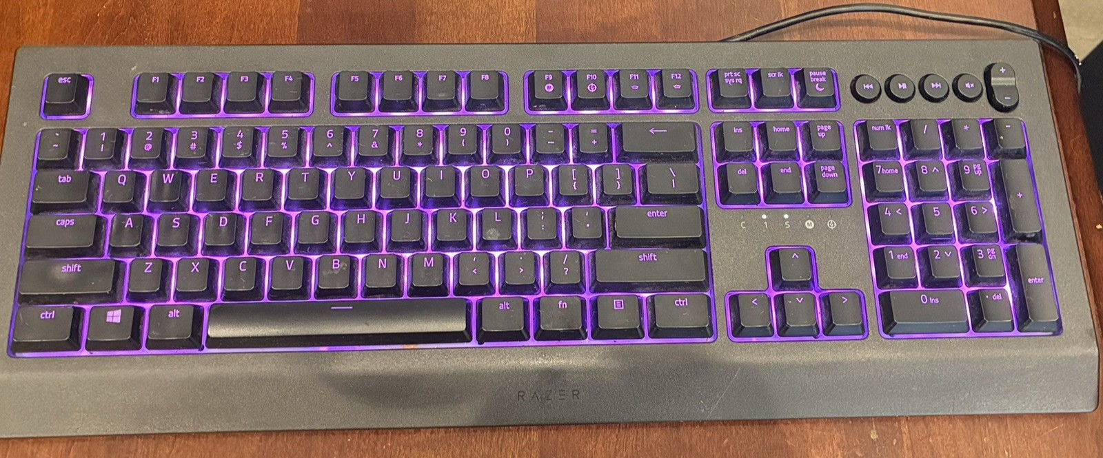 Razer Cynosa V2 Wired Gaming Keyboard RZ03-0340 RGB Tested Working