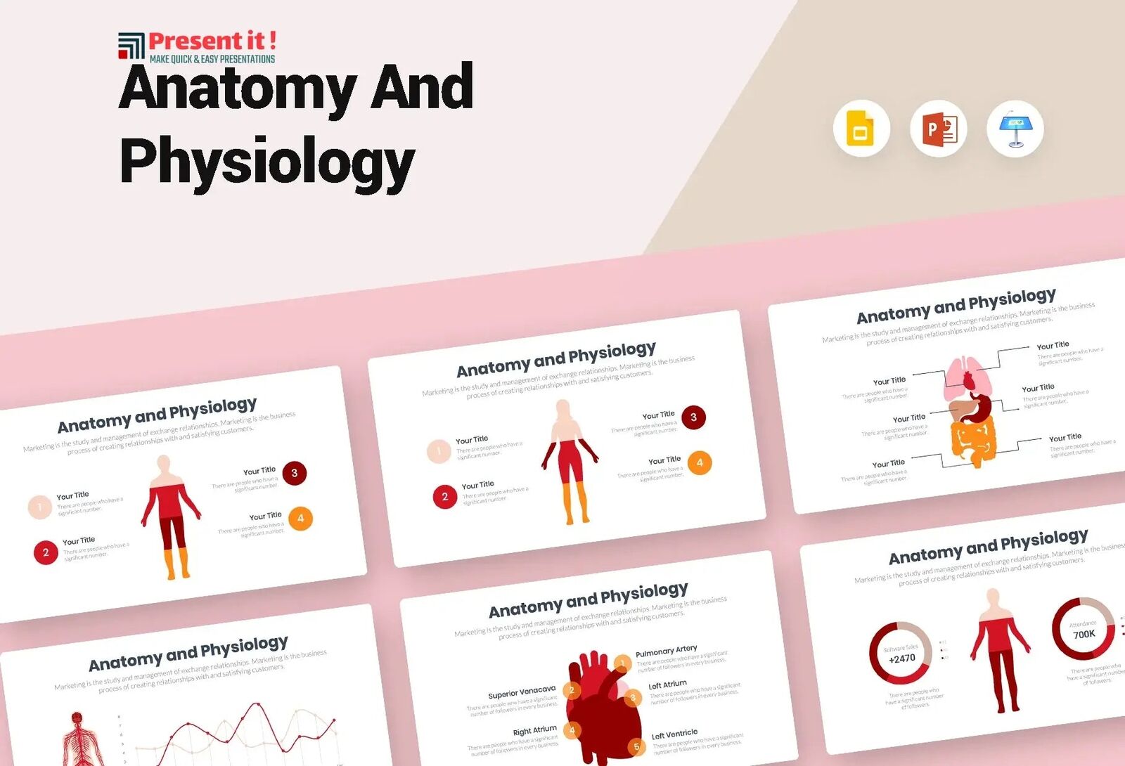 Anatomy and Physiology Infographics