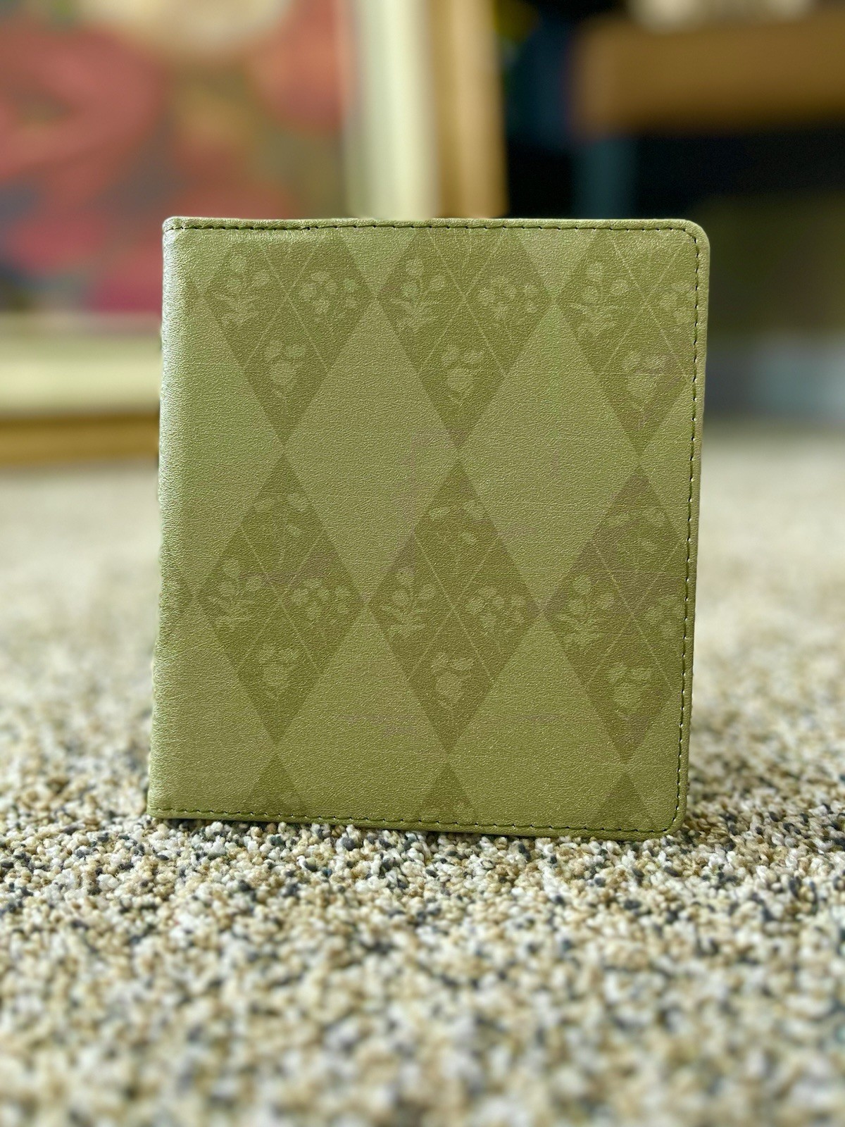 BOOKS BY GRAYCE OASIS 9TH & 10TH GEN Kindle Case EReader Green Floral 