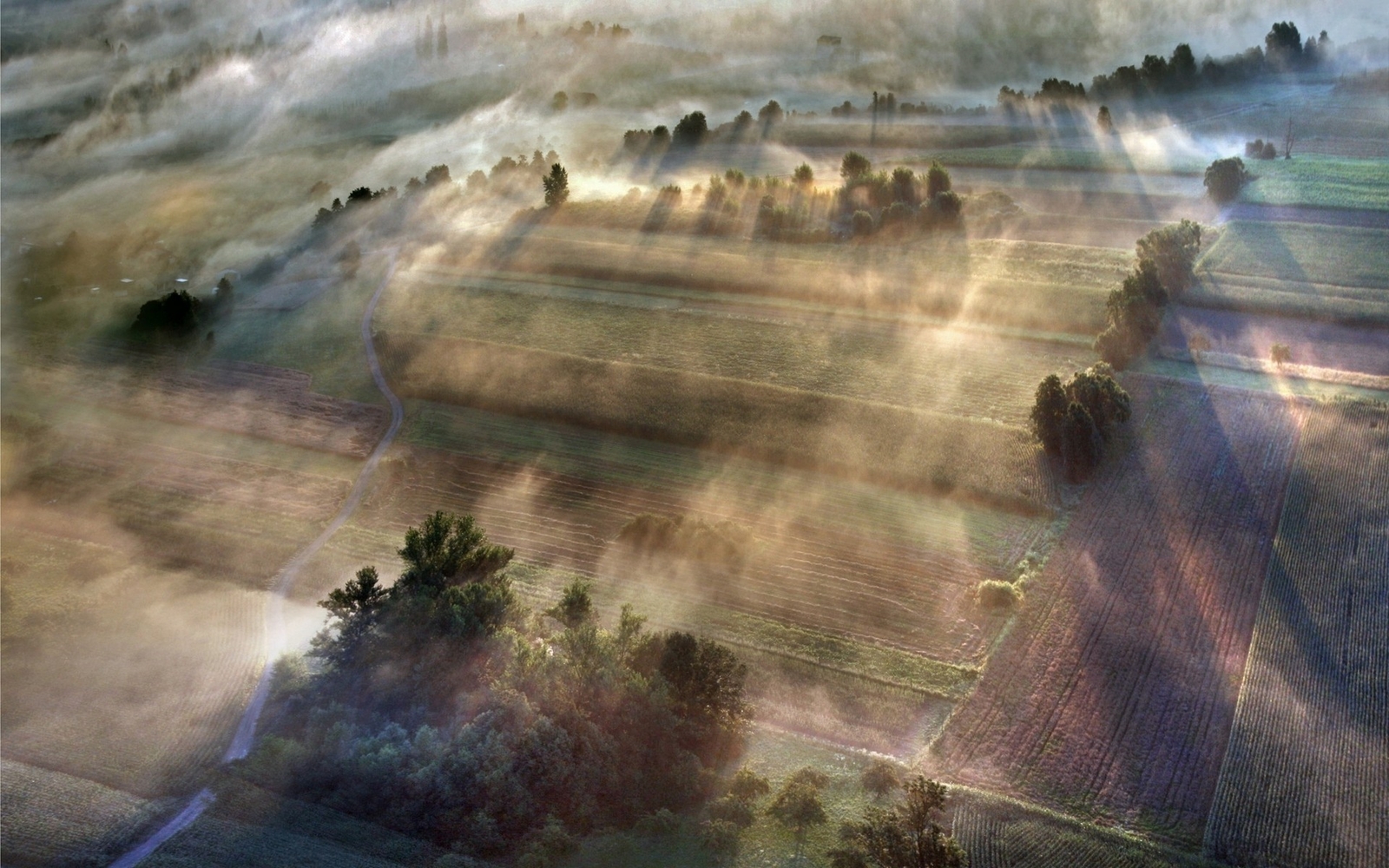 Landscape nature sunlight morning mist spring field Custom Gaming Mat Desk