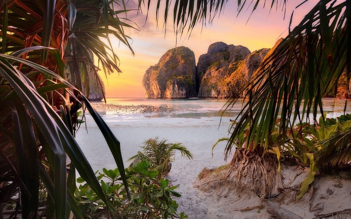 Landscape nature beach sunset palm trees shrubs rocks Custom Gaming Mat Desk