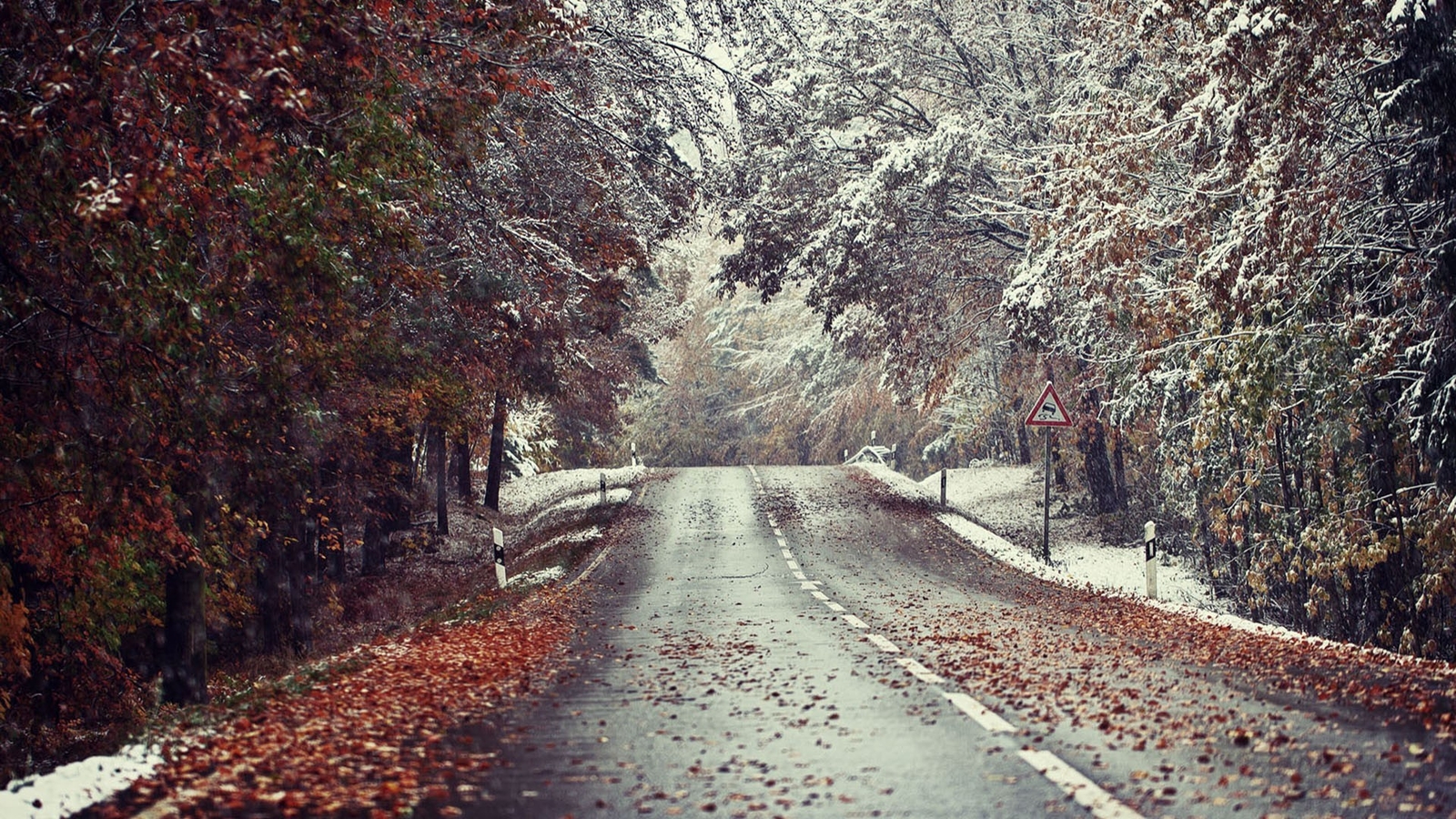 Landscape winter road snow leaves fallen wet street fall Custom Gaming Mat Desk
