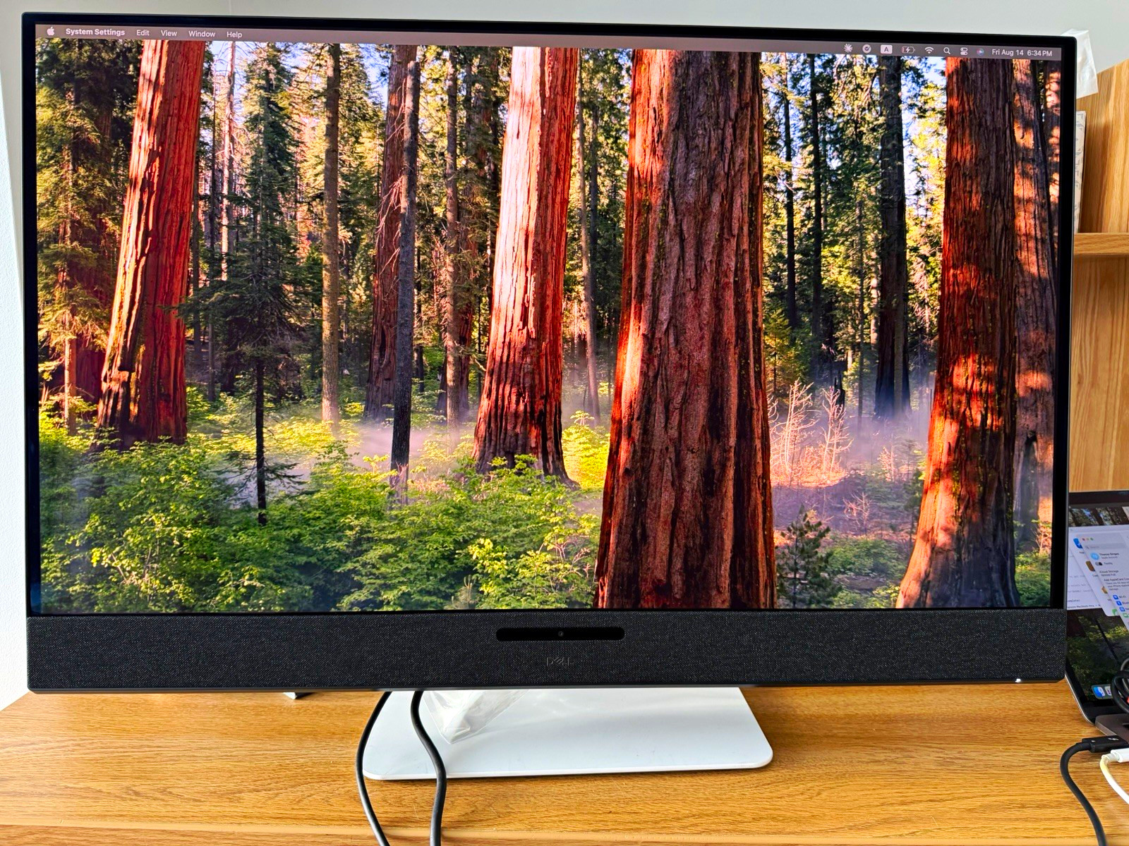 Dell S 32 4K QD-OLED Monitor S3225QC