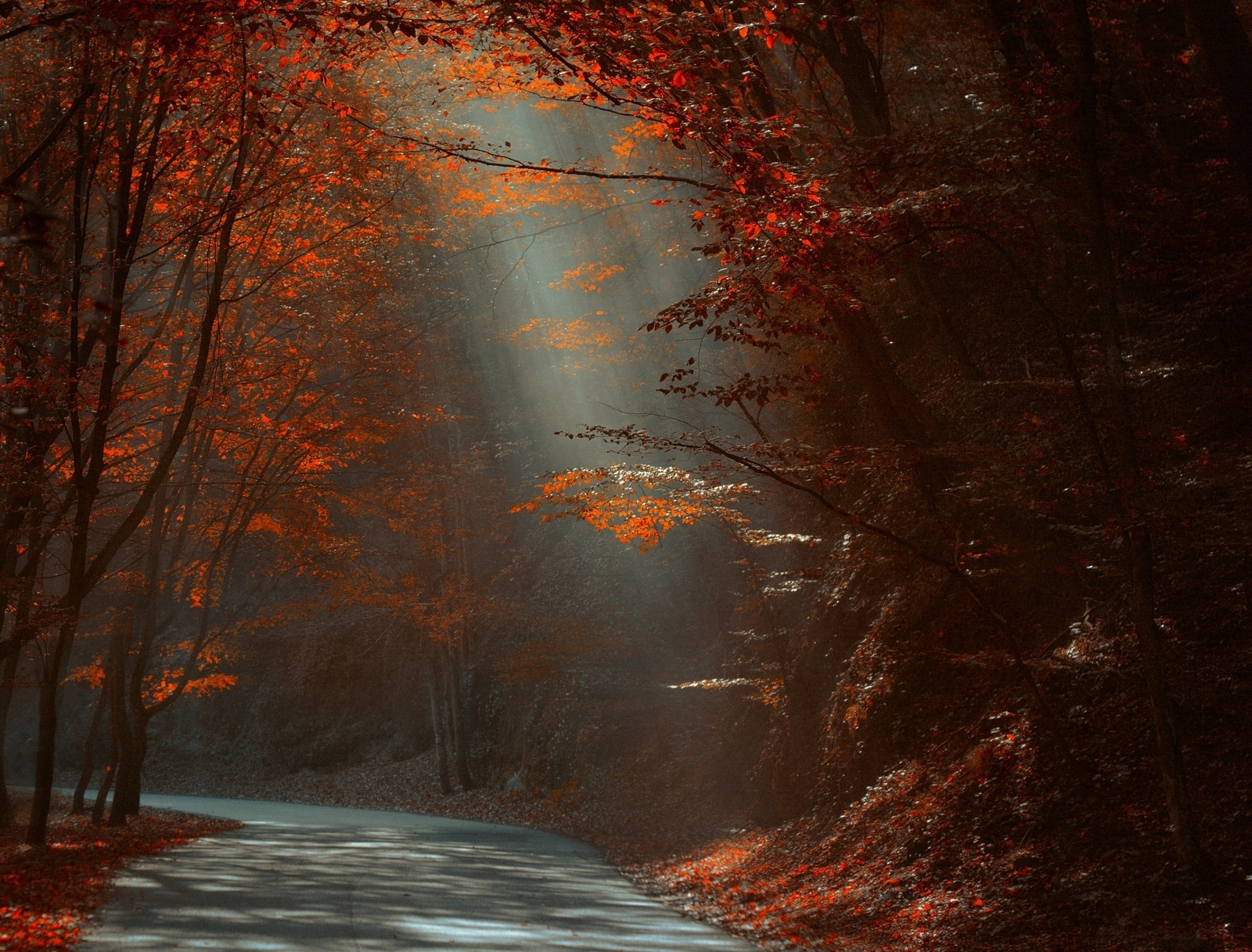 Landscape nature road forest red leaves fall sun rays Custom Gaming Mat Desk
