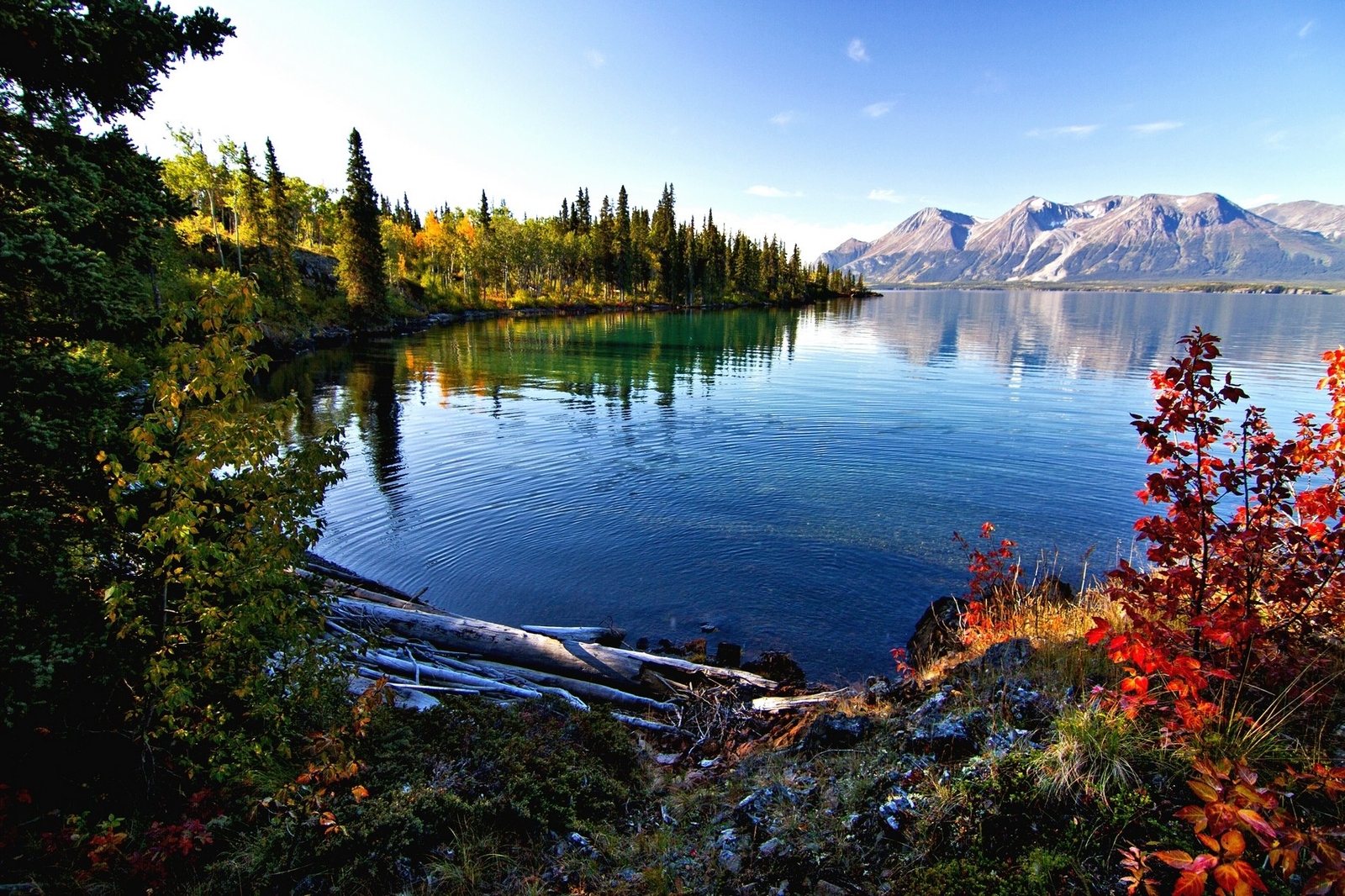 Landscape lake mountains fall morning forest shrubs Custom Gaming Mat Desk