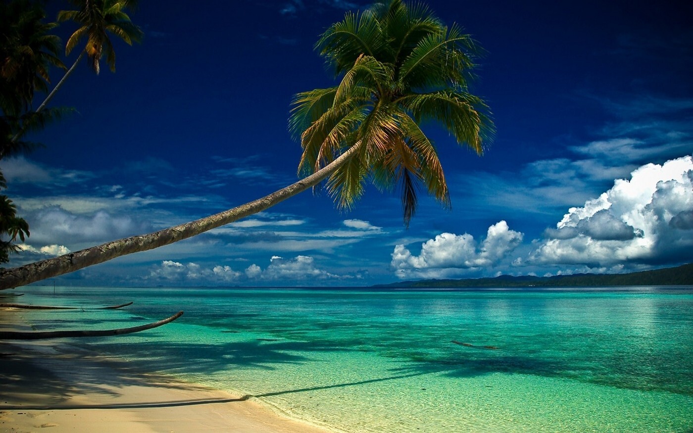 Landscape nature beach tropical palm trees clouds sea Custom Gaming Mat Desk