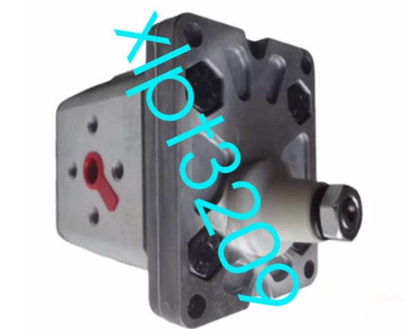 1PCS  ATOS Gear Pump PFG-160-D Brand New FedEx or DHL