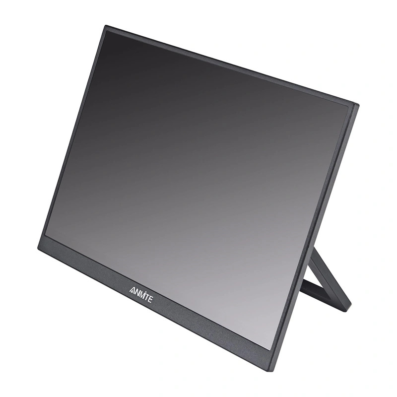 ANMITE A160W03H 16" Portable Monitor