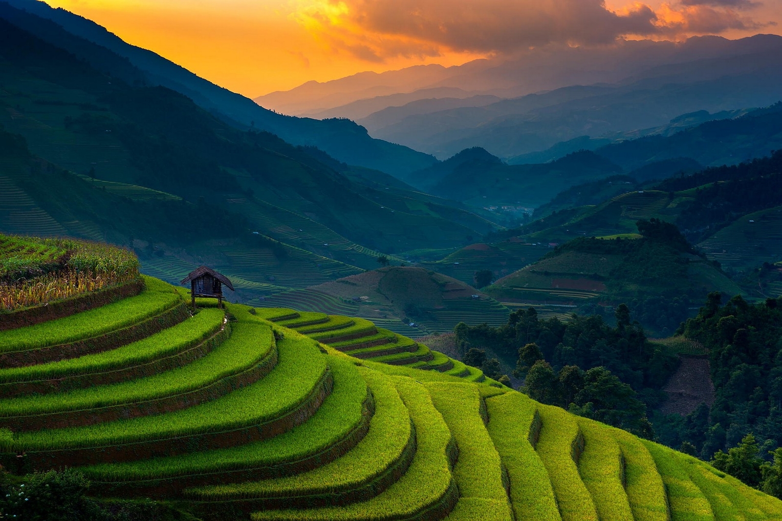Landscape nature rice fields terraces sunset field mist Custom Gaming Mat Desk