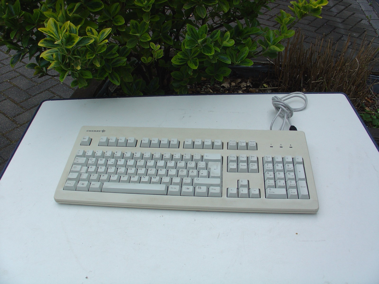 Cherry MY 3000 QWERTZ USB German Keyboard Beige German Keyboard Beige