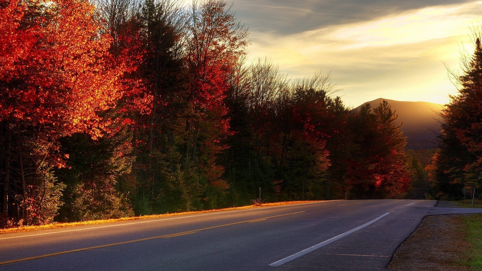 Landscape nature forest red leaves fall road Custom Gaming Mat Desk