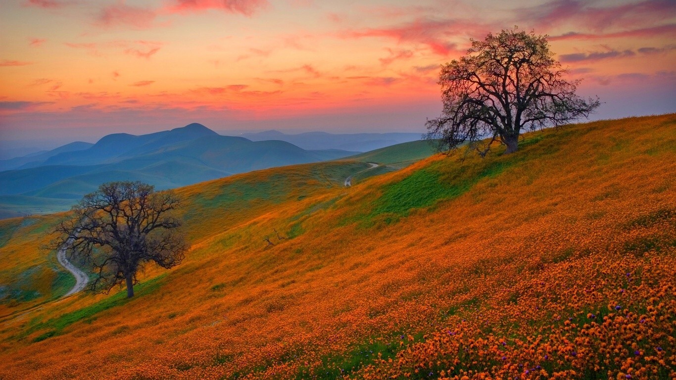 Landscape nature mountains flowers field trees sunset Custom Gaming Mat Desk