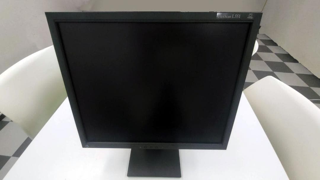 EIZO FlexScan L551 17 Inch PC Monitor DVI Input Square Screen