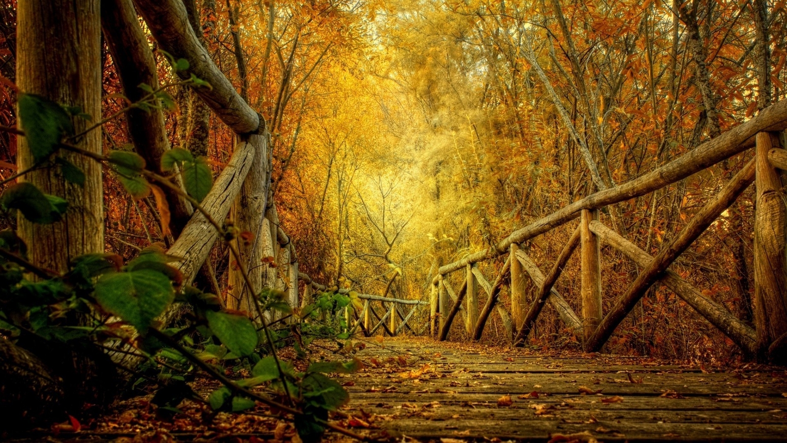 Landscape fall r wooden surface path forest fallen Custom Gaming Mat Desk