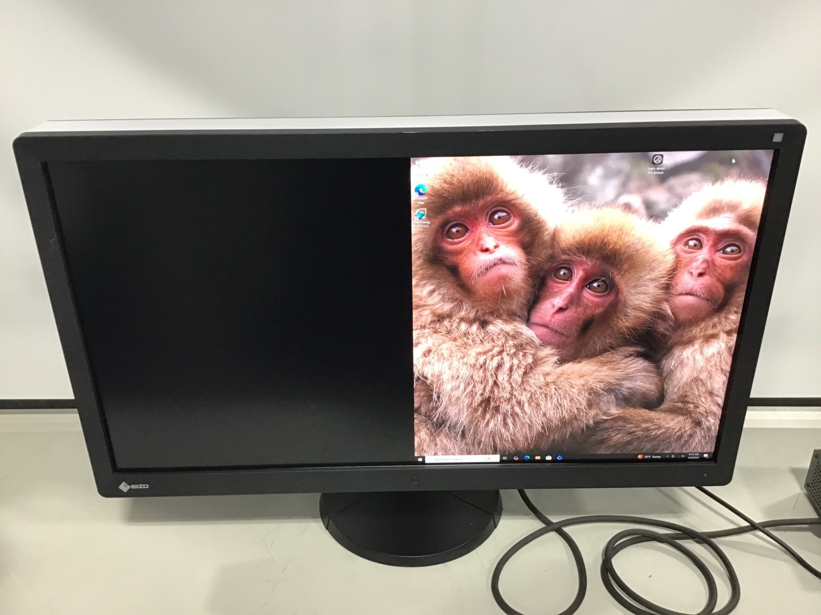 EIZO RadiForce RX850 Hi-Res 8 MP 31.3" LCD Monitor 0FTD1958 W/ Power Supply ~