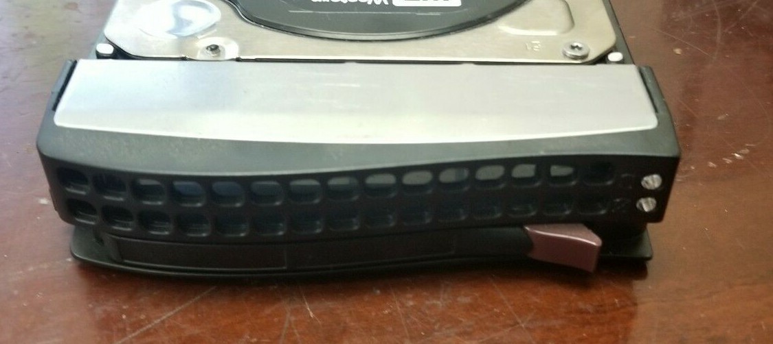 Western Digital WD3000HLFS 300GB 10K RPM SATA 3.5" Hard Drive with Tray