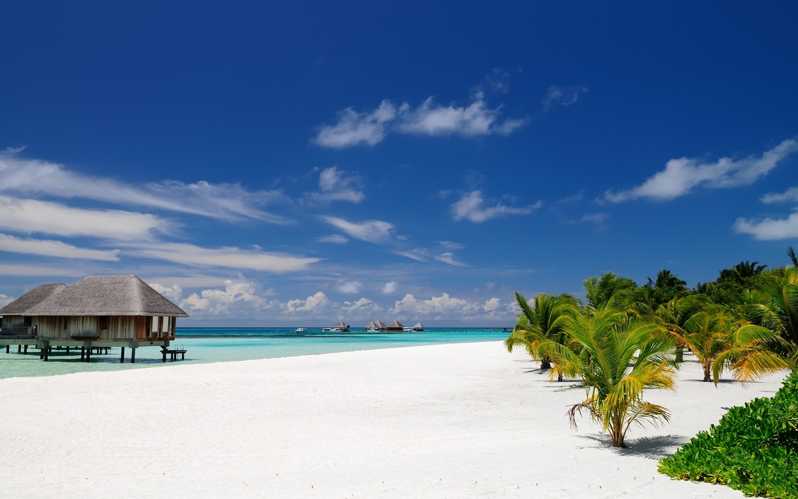 Landscape nature beach maldives palm trees sand tropical Custom Gaming Mat Desk